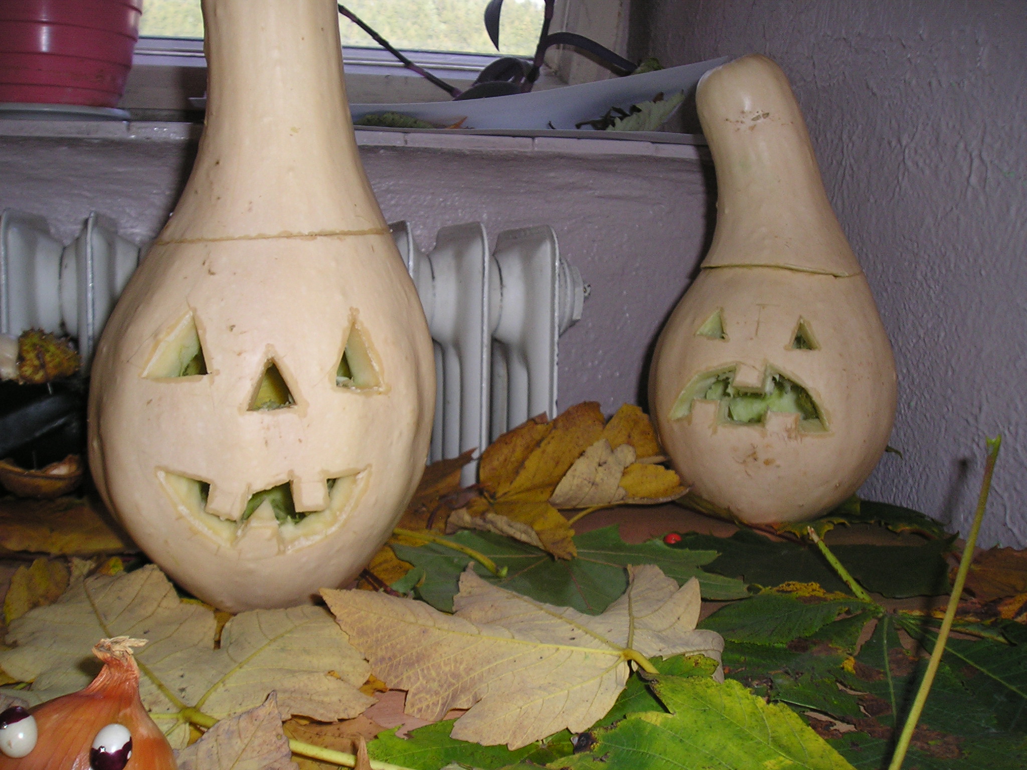 P1010067.JPG