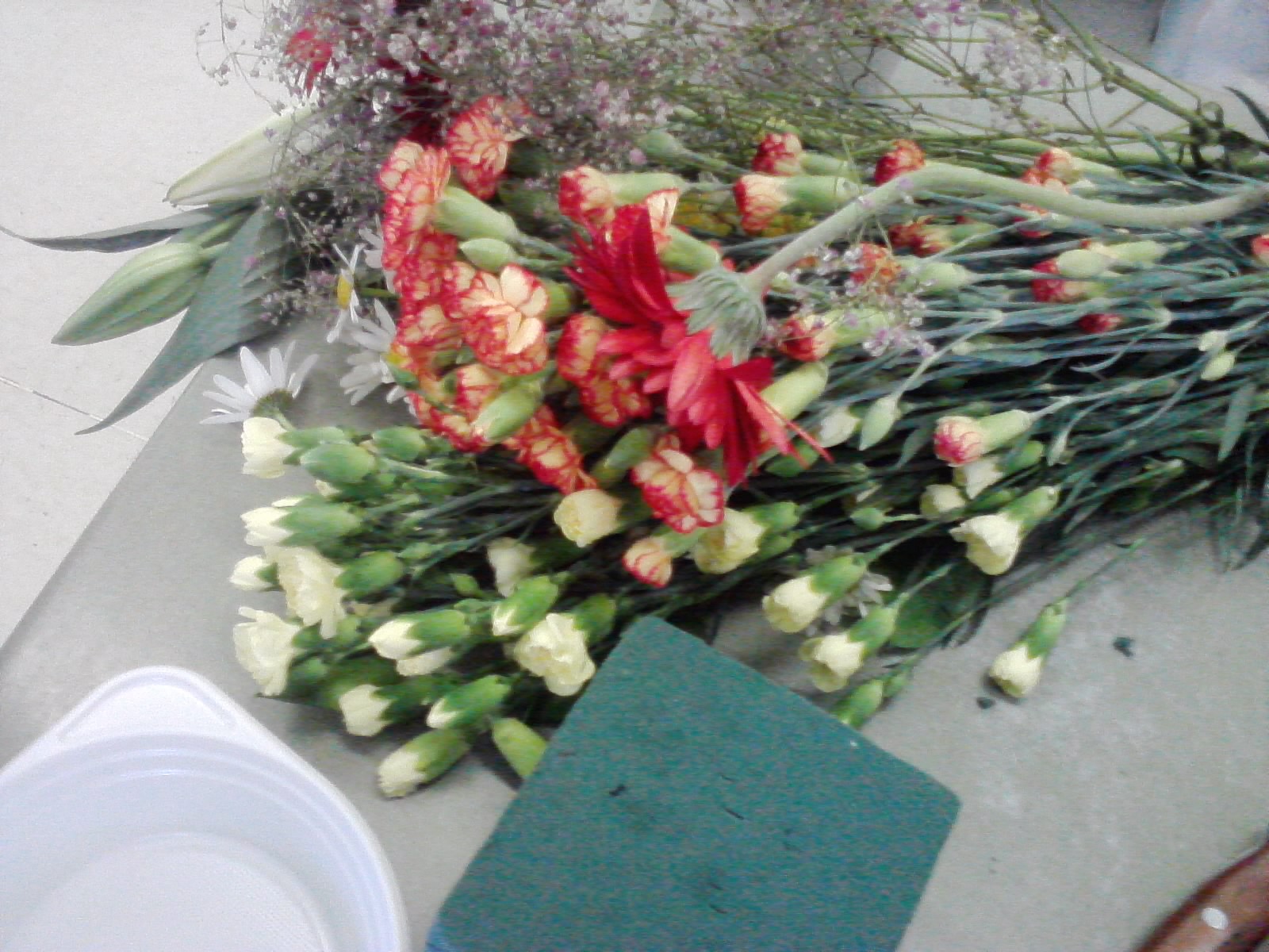 P020611_12.36_[02].jpg