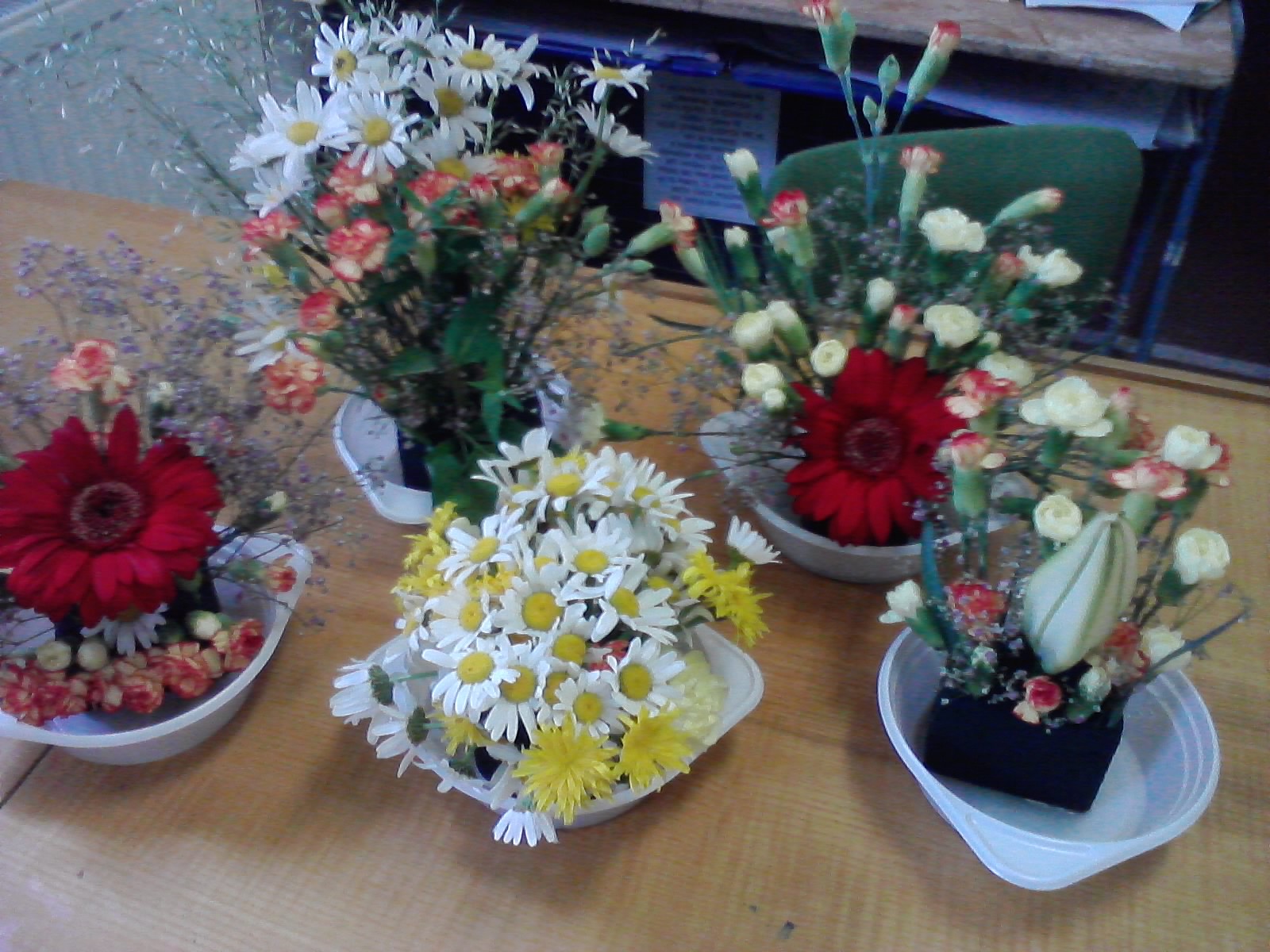 P020611_13.30_[01].jpg