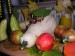 P1010075.JPG